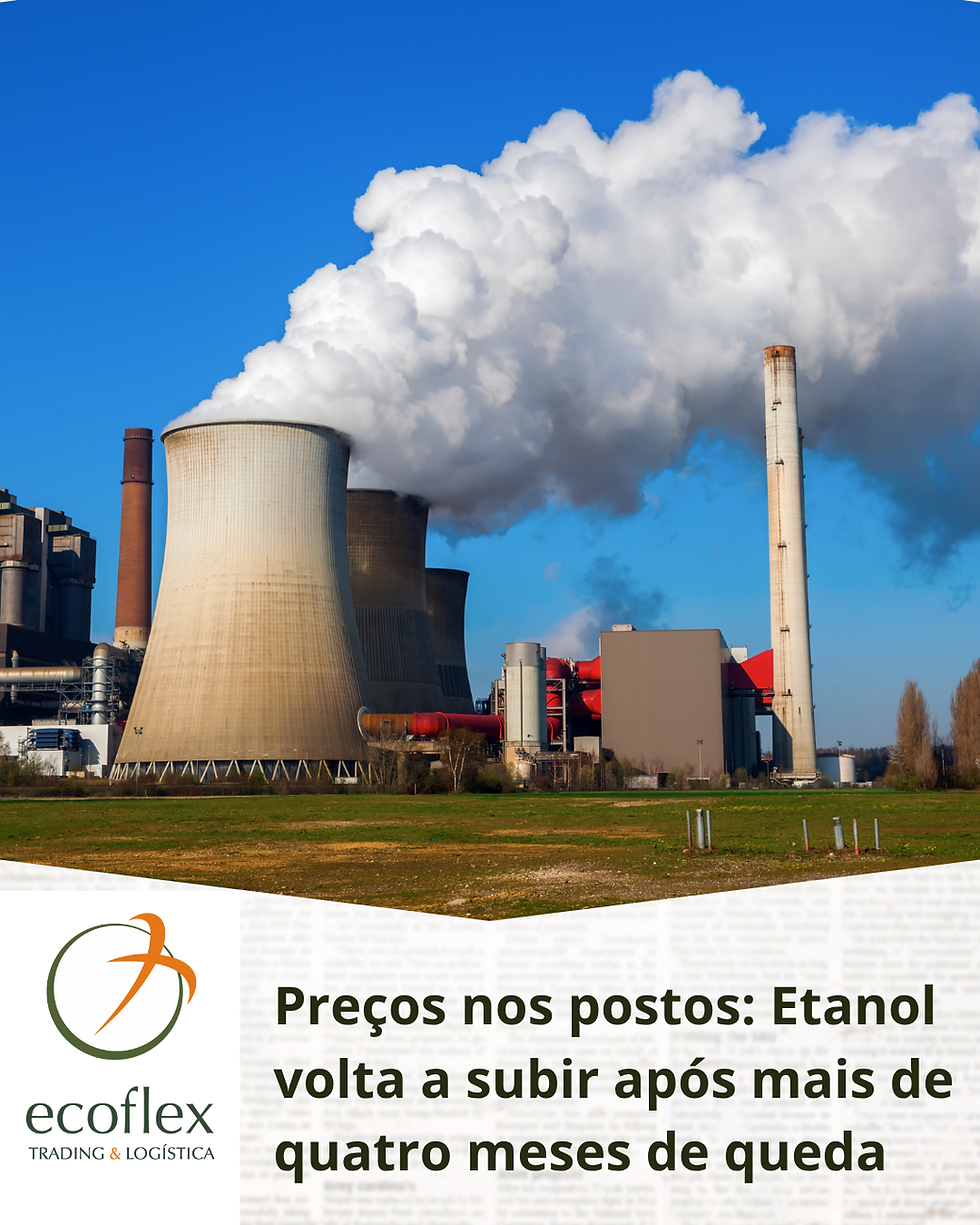 Fonte: Canva