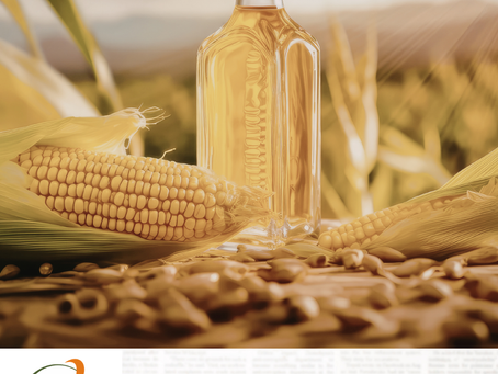 Brasil deve reduzir exportações de milho ao Irã