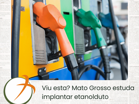 Viu esta? Mato Grosso estuda implantar etanolduto