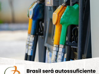 Brasil será autossuficiente em refino do diesel até 2030, diz Petrobras