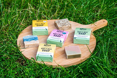 NLYF-CW-Goat breeder - Sam & Jess Cutler-JH-24-YOR.jpg