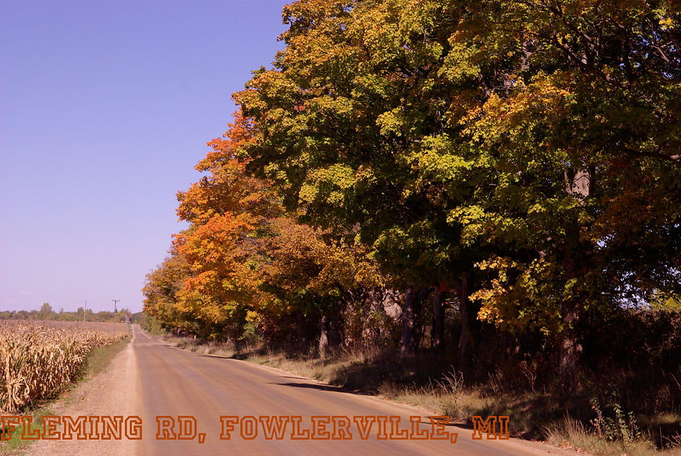 Autumn in Michigan