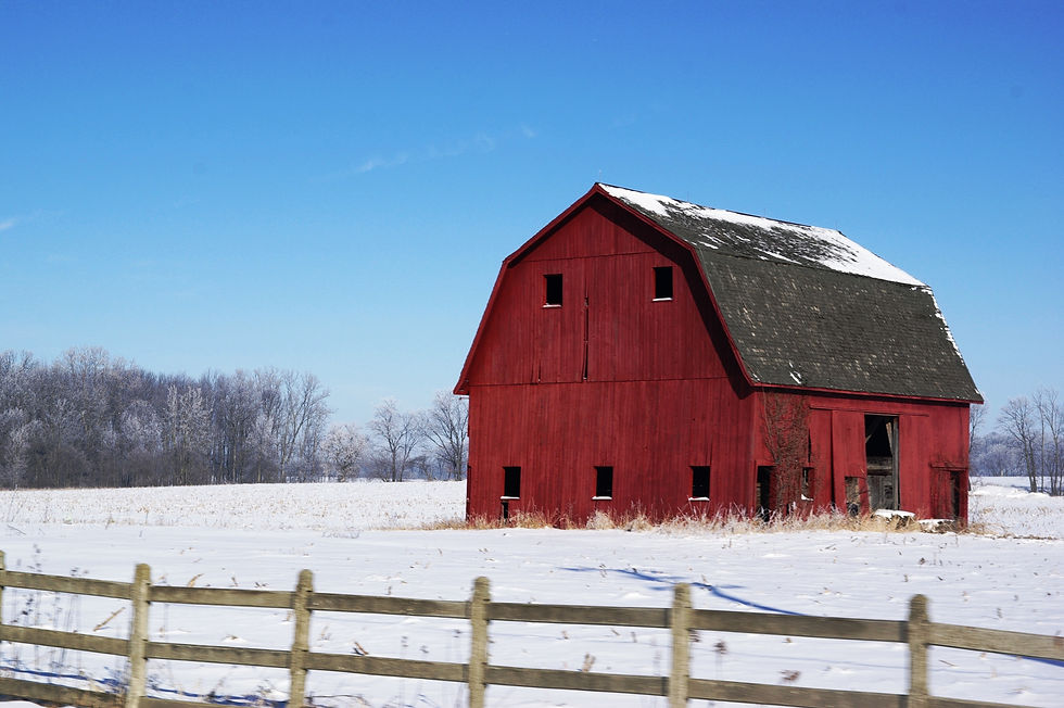 Cold Barn
