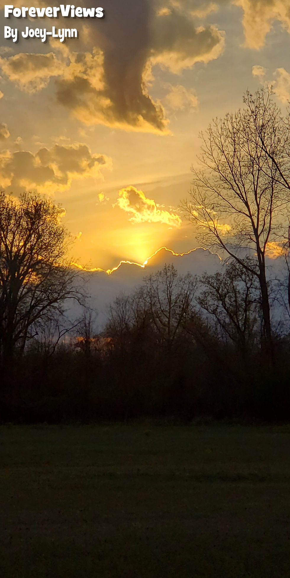 Vandekarr Sunset II
