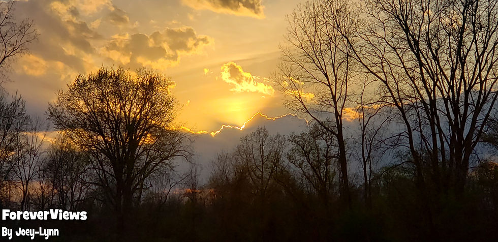Vandekarr Sunset III