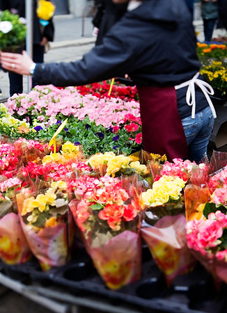 farmer's market flowers for sale