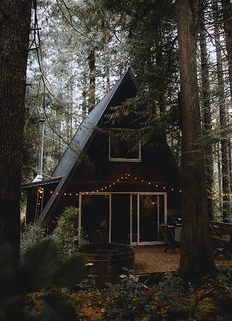 secluded beautiful wooded cabin
