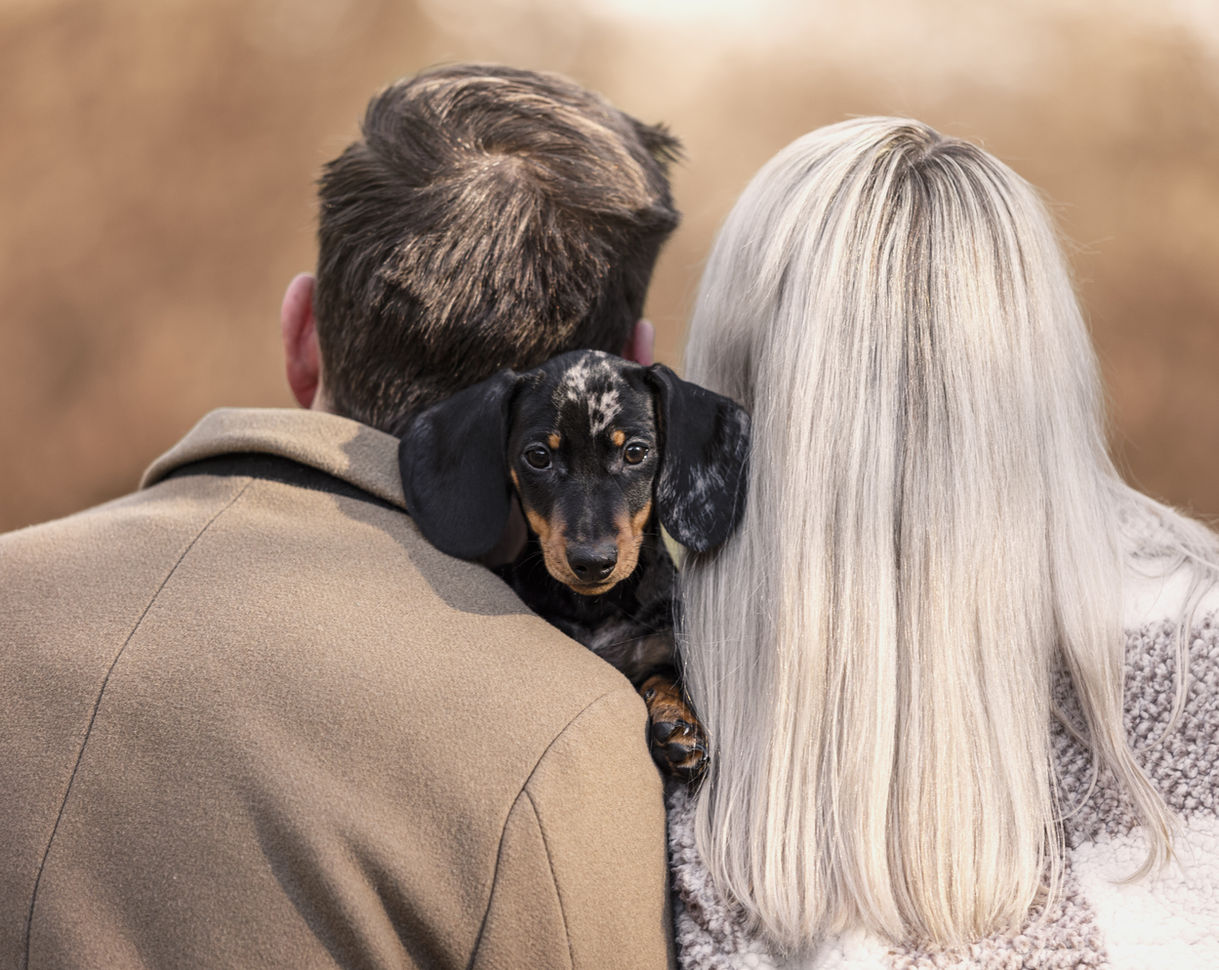 Herrchen und Frauchen mit ihrem kleinen Dackelwelpen.
