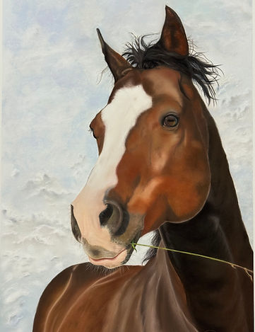 Velvet Muzzle