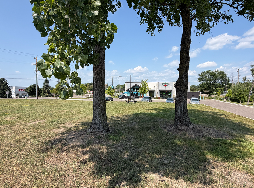 Grassy field with trees at Medina Land commercial site.