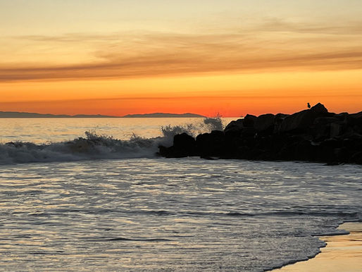 Ocean waves crash against rocks at sunset, with a silhouette of a bird perched on the rocks and a vibrant orange sky in the background.