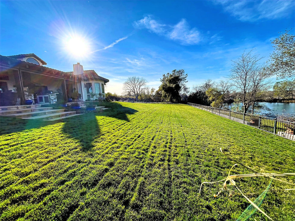 A stunning lakeside estate in Roseville, CA, with a lush, perfectly manicured deep green lawn rolling down to the water, a result of professional lawn maintenance.