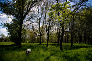 DSC_7171.jpg