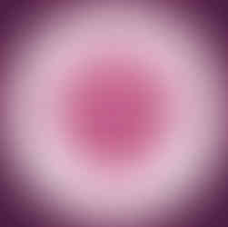 Wise Owl Lifestyle website logo