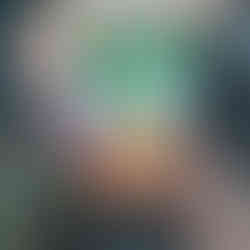 Organic compost activator