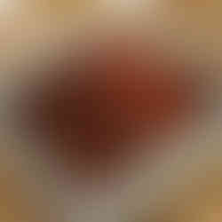 Worms in a box crawling over compost they produced