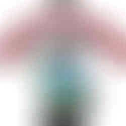 The Recycling Kid logo