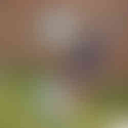 Ethan sorting out the recycling materials