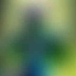 Racoon, a symbol of The Recycling Kid