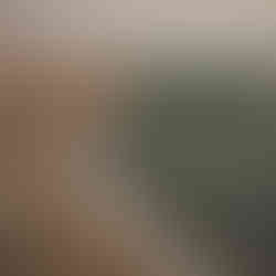 A road divides area where Amazon forest was destroyed from the other side where trees are growing