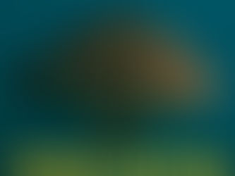 Celebrating World Fisheries Day on 21st November, with a special focus on South Africa's National Fish, the Galjoen.