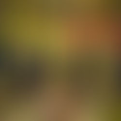 Community members picking up litter in a park, promoting cleaner public spaces