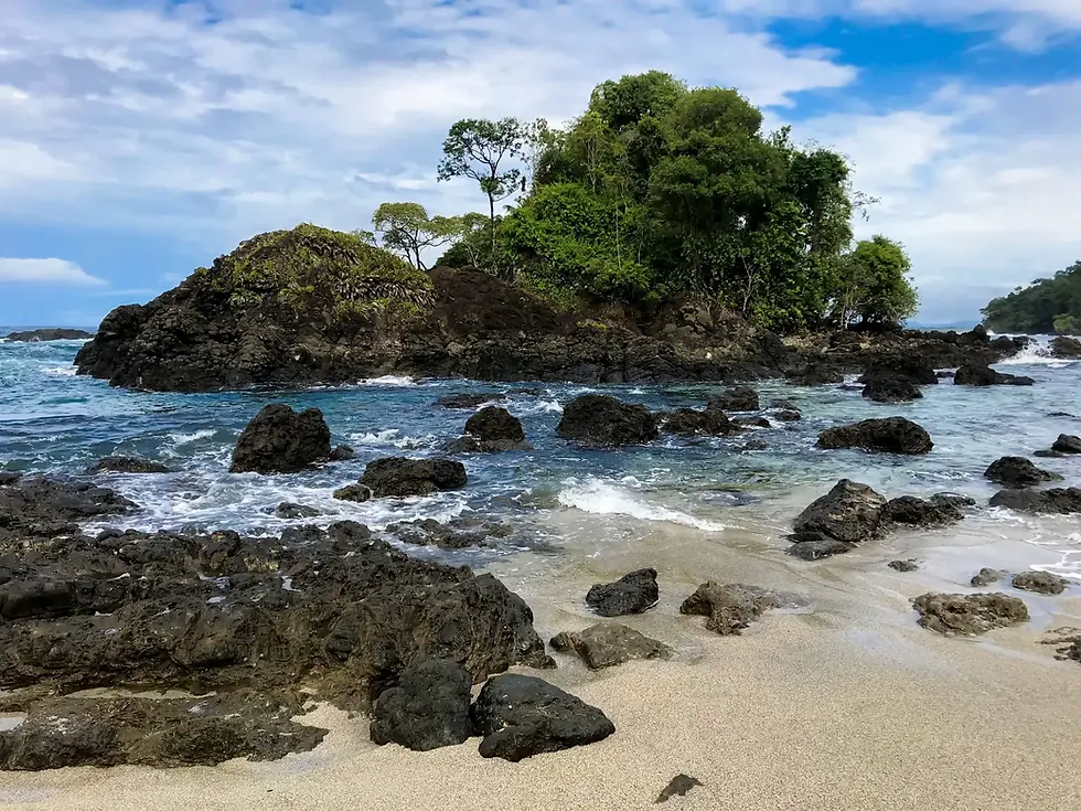 Fotos ZUA Colombia (18).webp