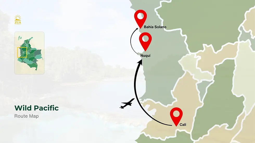 ZUA itinerary map (5).webp