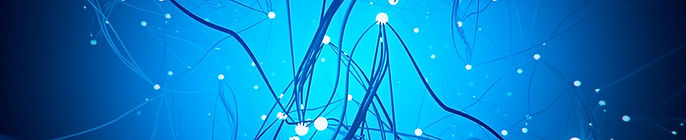 neuronas