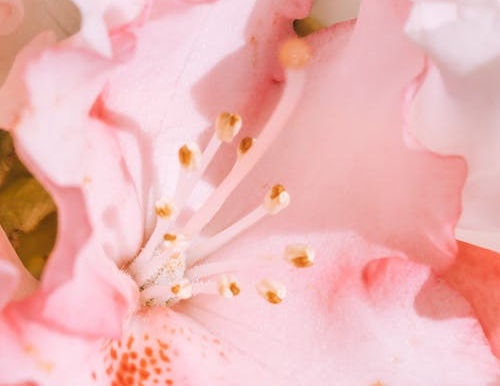 What is Pretty?