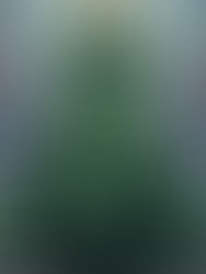 Die Groen Rok