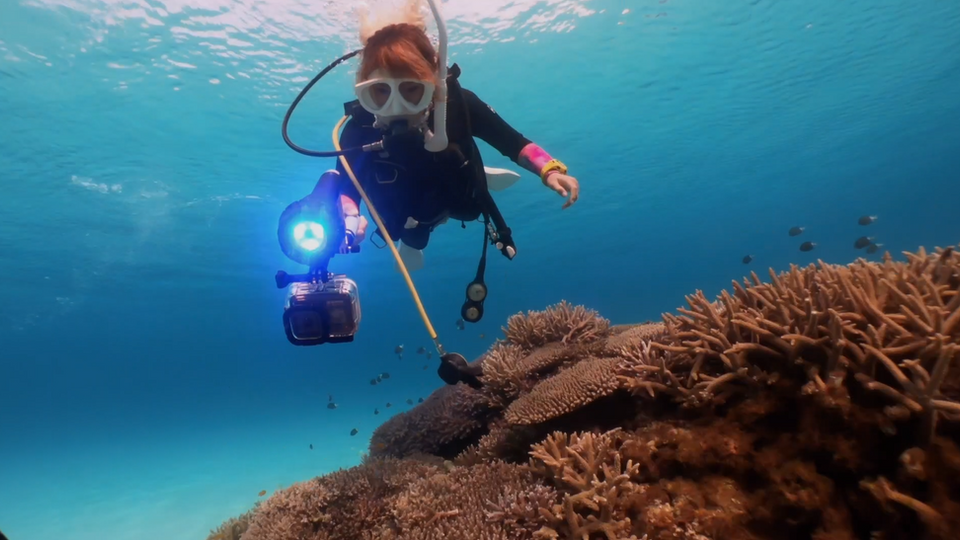 水中ライト | DiveExtreme | 日本