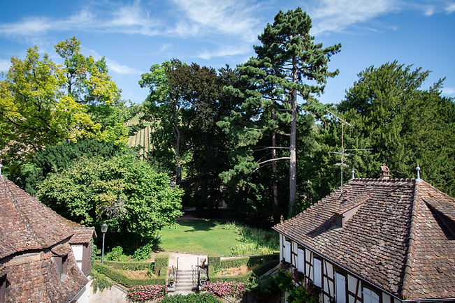 Jardin.jpg