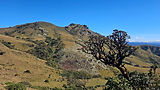 20251213_094117.jpg