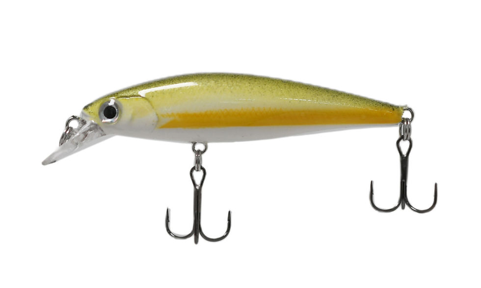 Thumbnail: 67mm Jerkbait