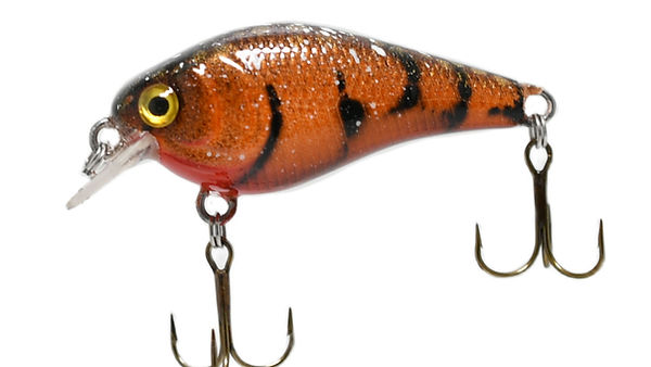 BFS | Susquehanna Custom L