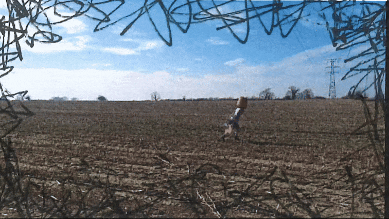 t6dety.gif
