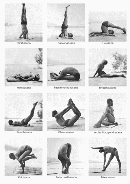 cours hatha yoga rezé