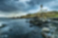 TURNBERRY standard licence.jpeg