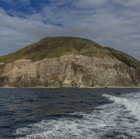 AILSA CRAIG
