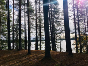 Bear, Berry, Biosphere