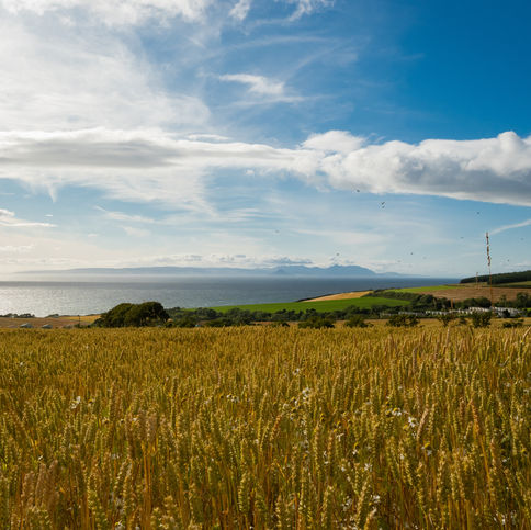 COASTAL VIEW WITH FARMLAND