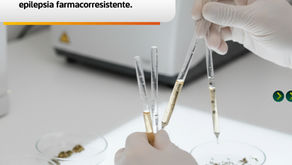 Estudian en la BUAP cannabinoides para tratamiento de epilepsia