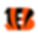Raffle Items | Bengals Memorabilia