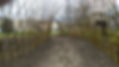 willow tunnel