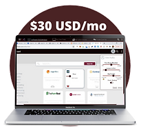 Lumose Pitch Deck (2).png