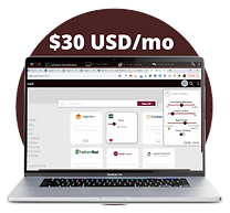 Lumose Pitch Deck (2).png