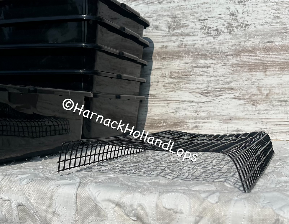 Thumbnail: Black Large Bunny Litter Pan for 1-3 adult Bunnies $35 For Bunny Customers Only