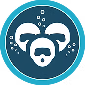 scuba team icon.avif