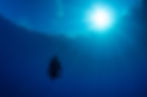 Aldora_Divers_UW_02